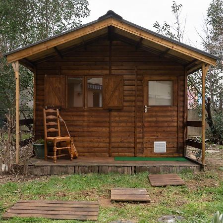 维勒班Le Phenix - Hypercentre 16 Personnes Garage Gratuit Wifi Jardin Barbecue Proche Parc Tete D'Or公寓 外观 照片